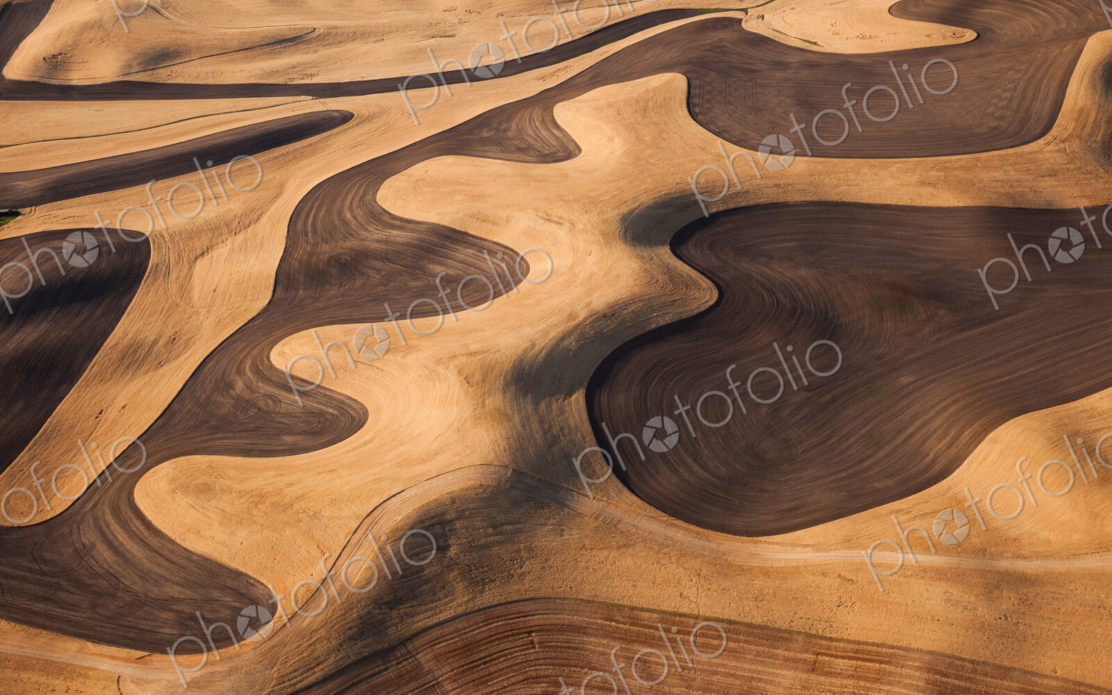 Farmland landscape, with ploughed fields and furrows in Palouse, Washington, USA. An…