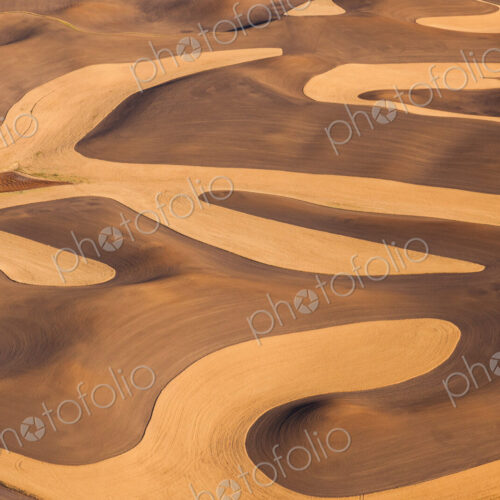 Farmland landscape, with ploughed fields and furrows in Palouse, Washington, USA. An…