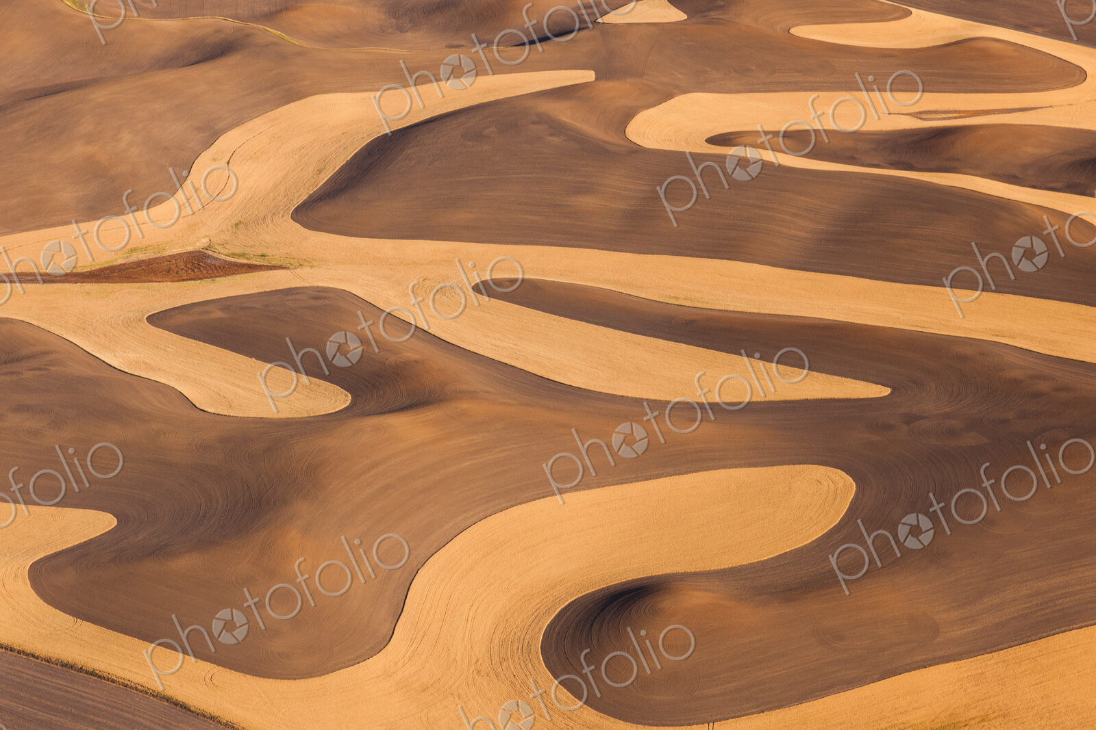 Farmland landscape, with ploughed fields and furrows in Palouse, Washington, USA. An…