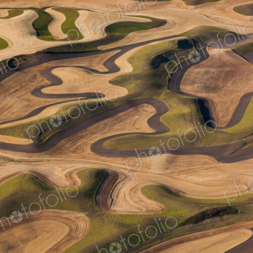 Farmland landscape, with ploughed fields and furrows in Palouse, Washington, USA. An…