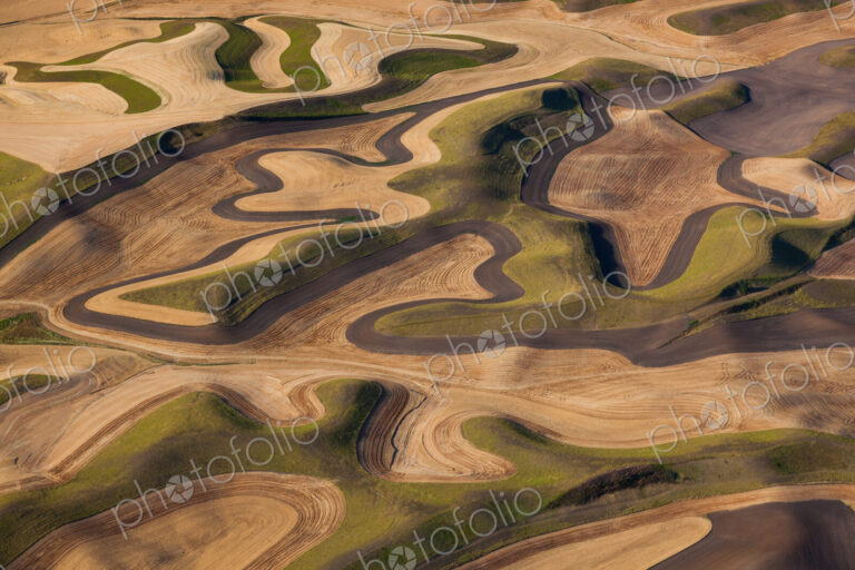 Farmland landscape, with ploughed fields and furrows in Palouse, Washington, USA. An…