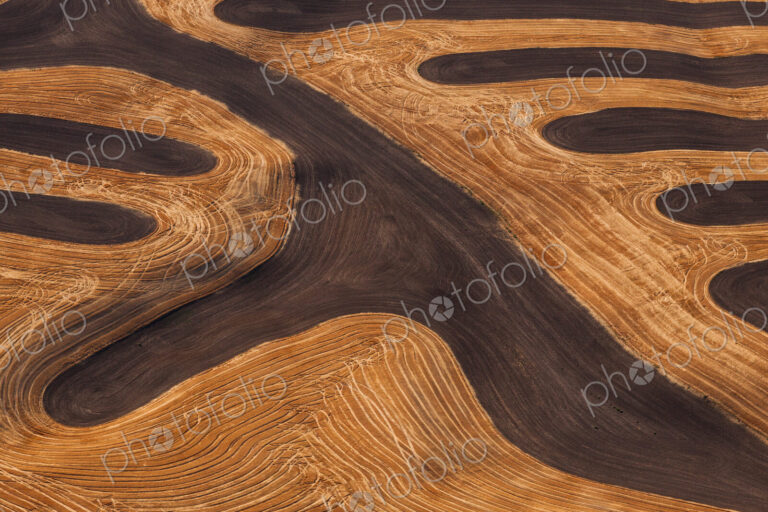 Farmland landscape, with ploughed fields and furrows in Palouse, Washington, USA. An…