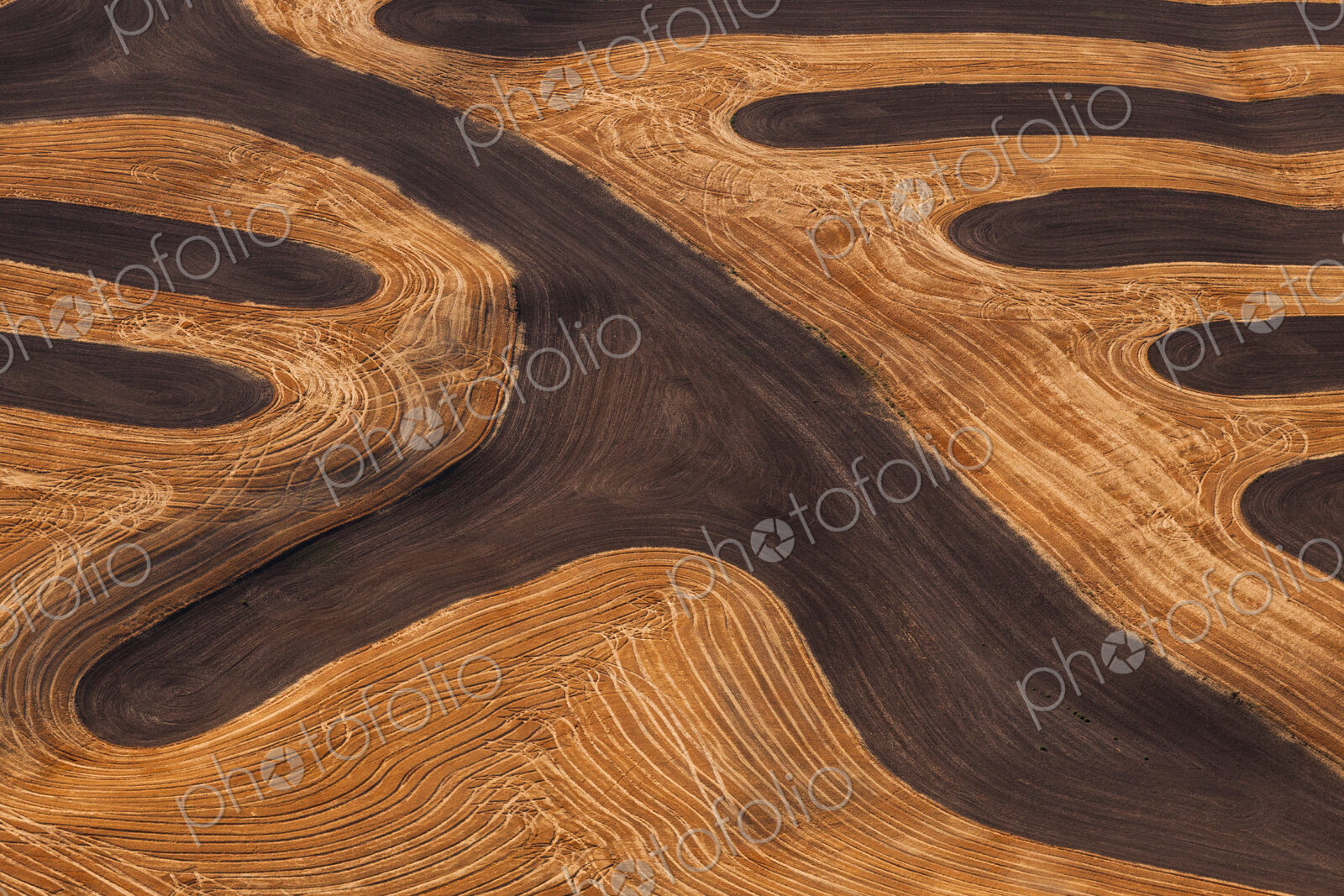 Farmland landscape, with ploughed fields and furrows in Palouse, Washington, USA. An…