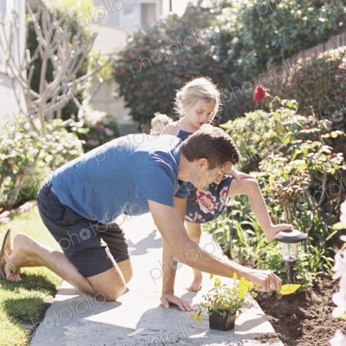 Father and daughter in a garden, planting a flower. Father and daughter in a garden, planting a flower.