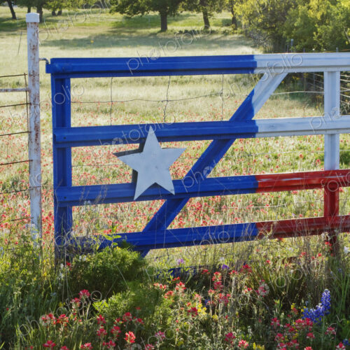 Fence With a Texas Paint Job Fence With a Texas Paint Job