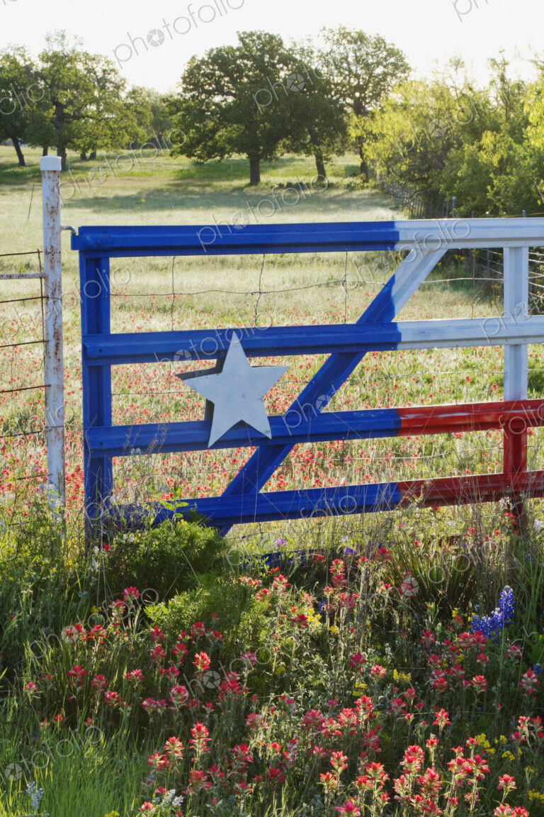 Fence With a Texas Paint Job