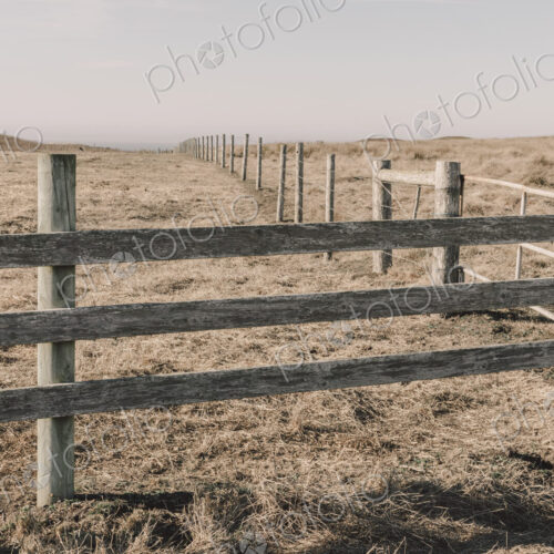 Fence and fields, pasture and farmland