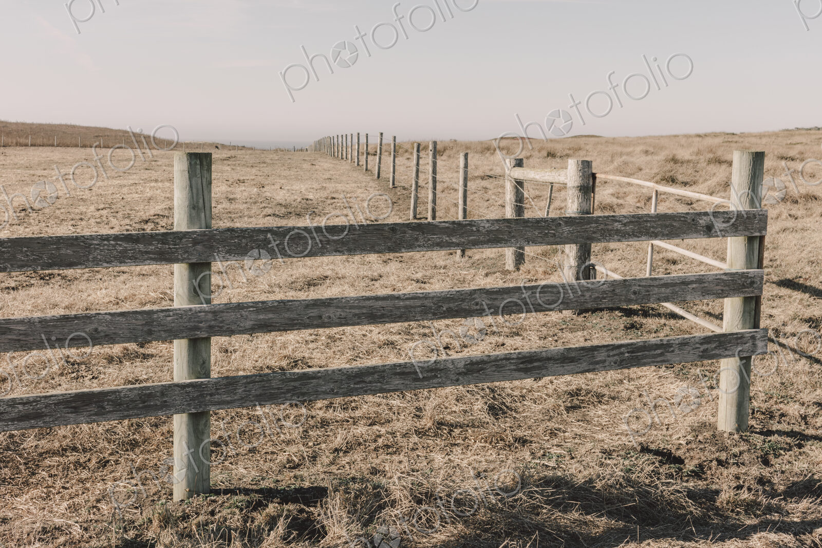 Fence and fields, pasture and farmland