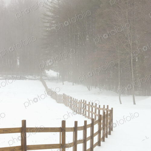 Fence in Pasture in Snow Fence in Pasture in Snow