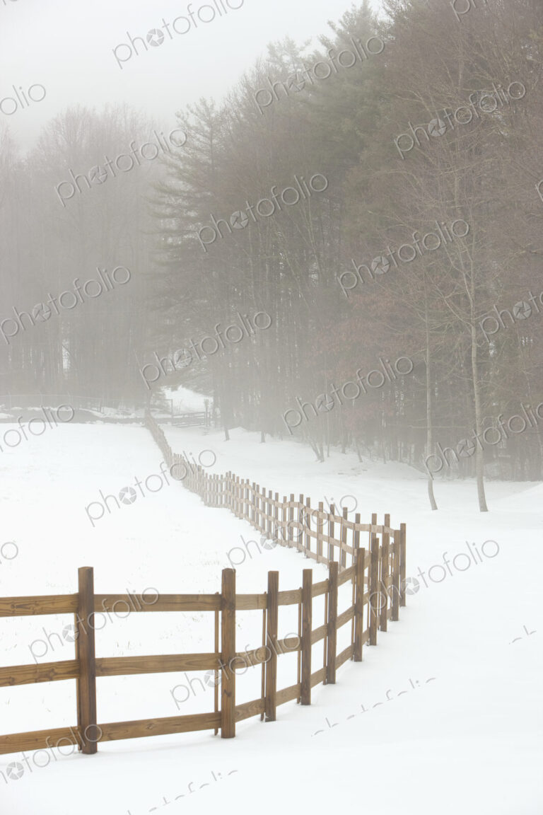 Fence in Pasture in Snow