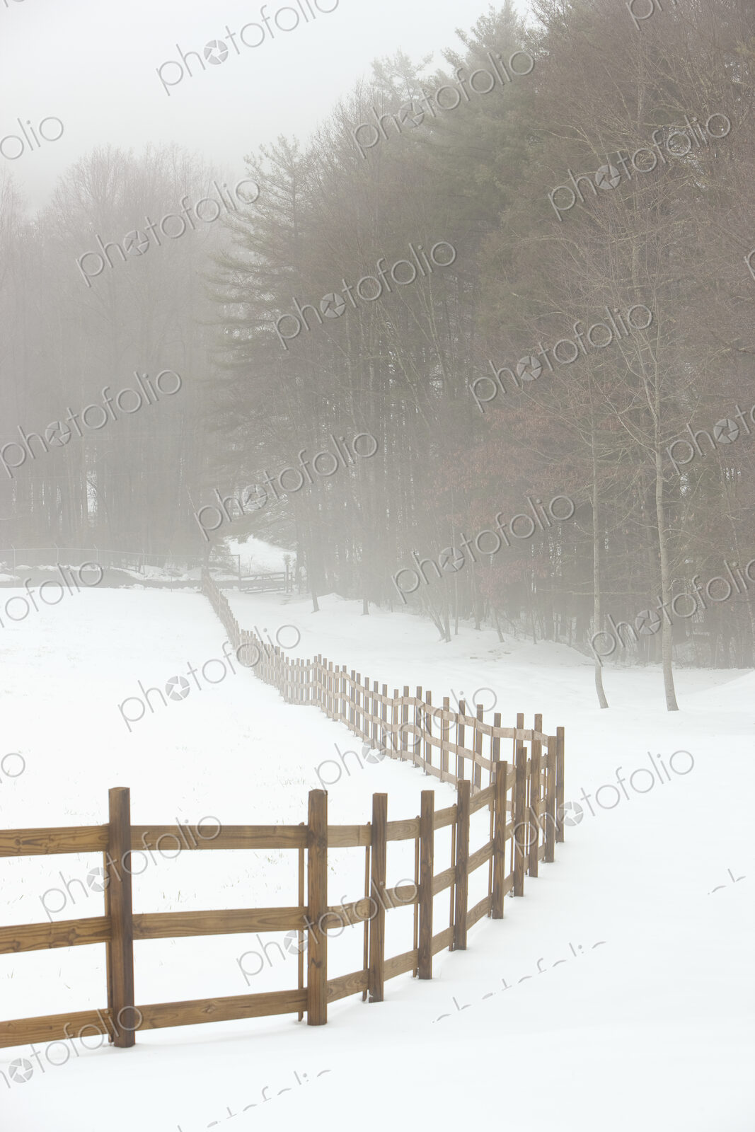 Fence in Pasture in Snow