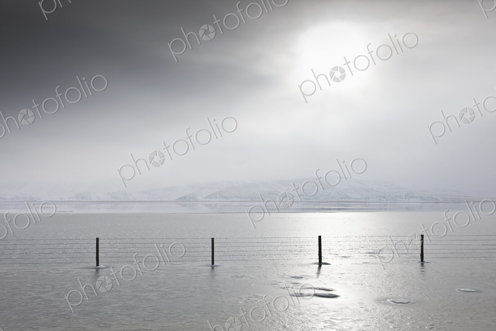Fence in wintry landscape with grey sky.
