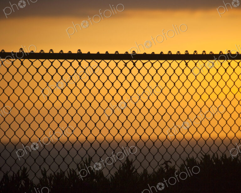 Fence on Beach