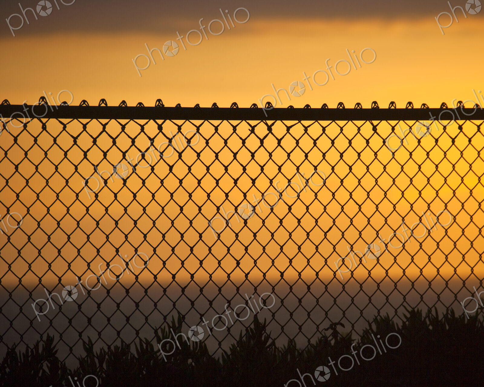 Fence on Beach