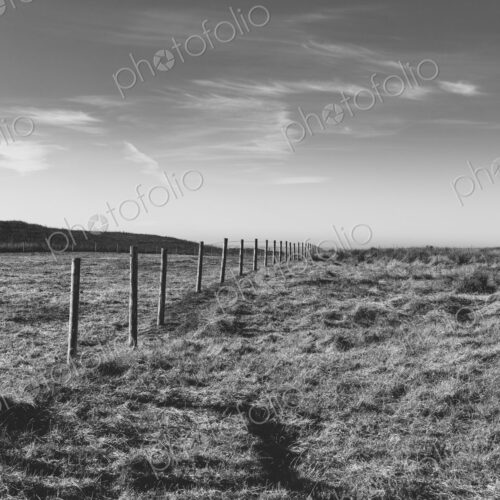 Fence through pasture and farmland, open space Fence through pasture and farmland, open space