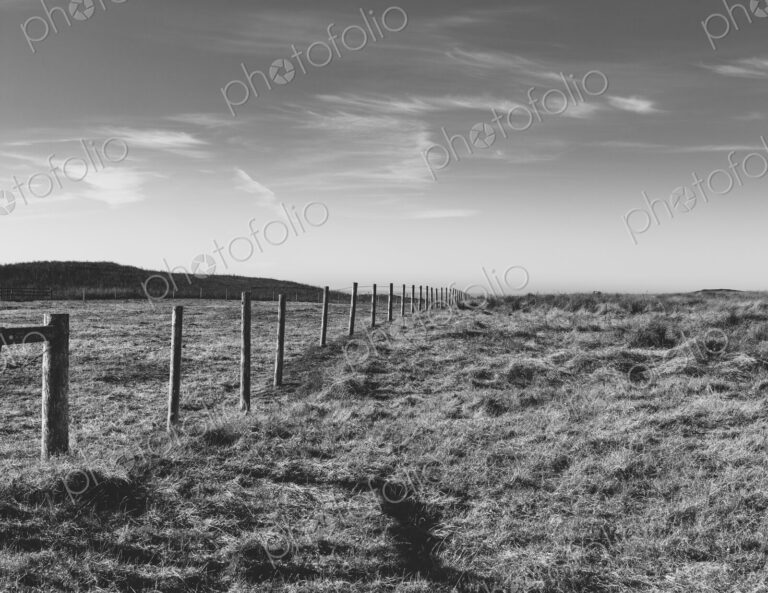 Fence through pasture and farmland, open space