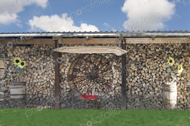 Firewood Art