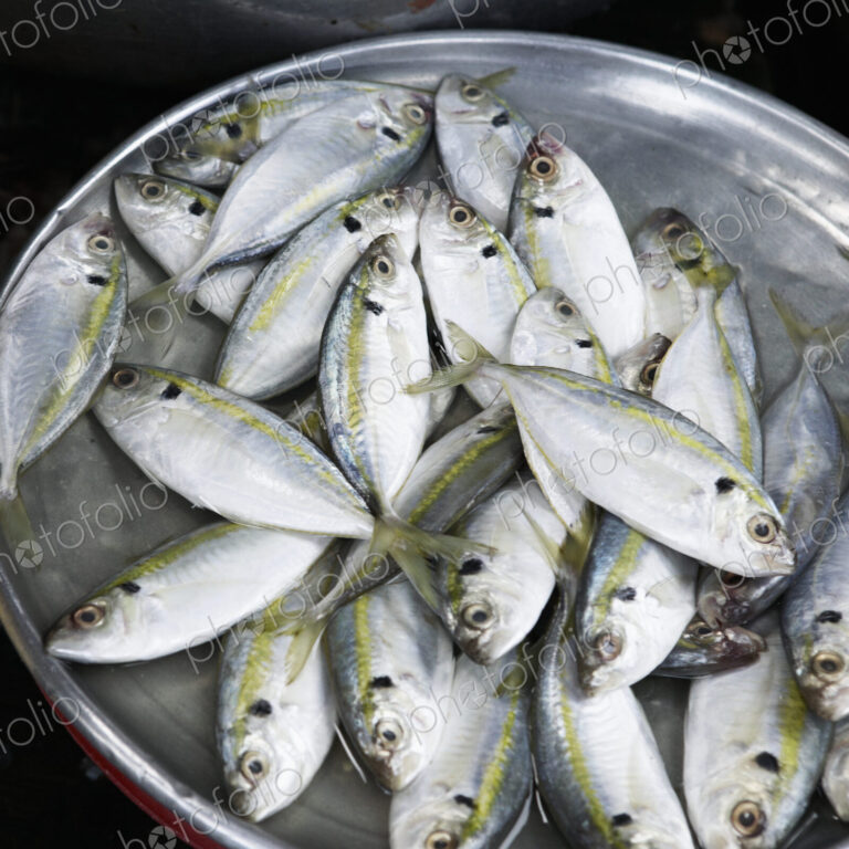 Fish For Sale in a Market