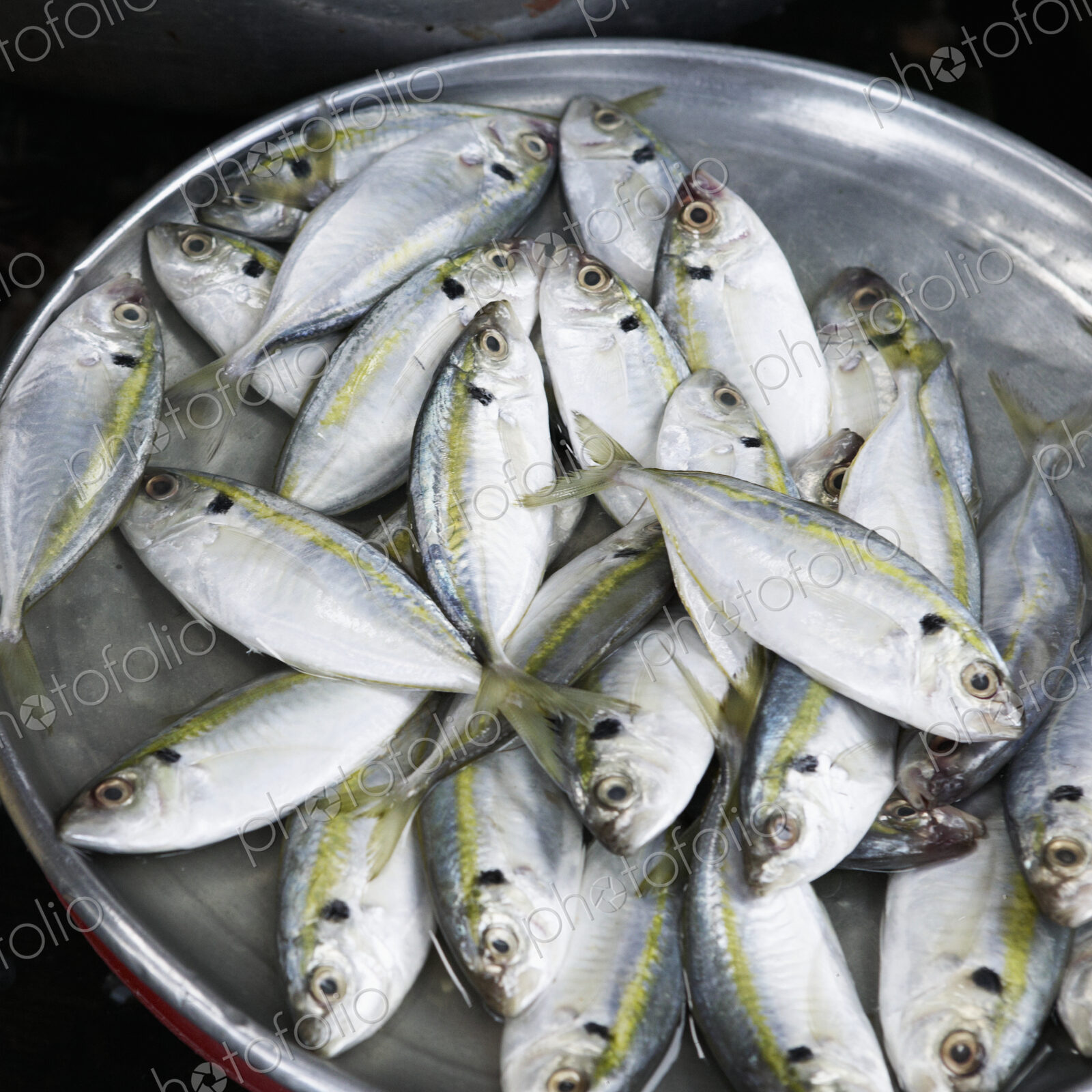 Fish For Sale in a Market