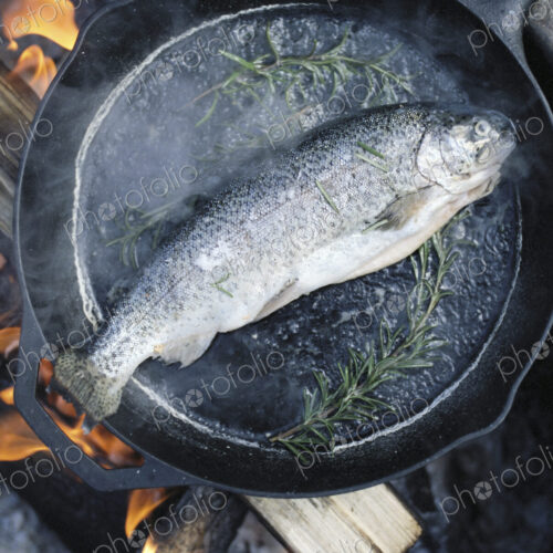 Fish in a frying pan over an outdoor fire. Fish in a frying pan over an outdoor fire.