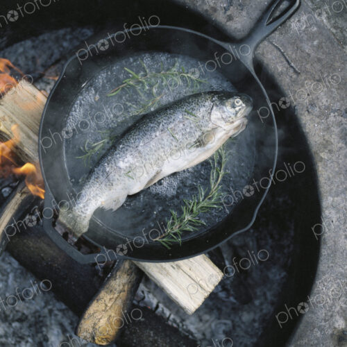 Fish in a frying pan over an outdoor fire. Fish in a frying pan over an outdoor fire.