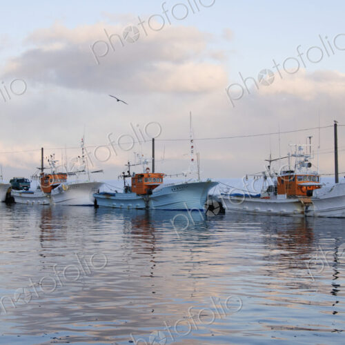 Fishing Port Harbour at Dusk Fishing Port Harbour at Dusk