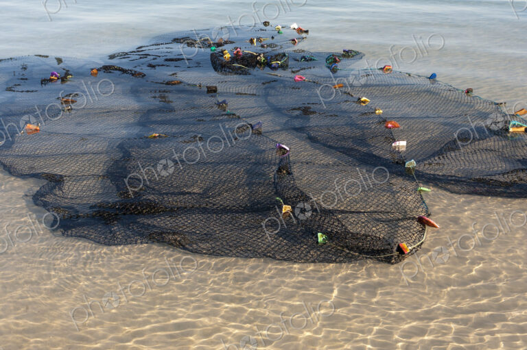 Fishing nets spread out in the shallow water by the shore.