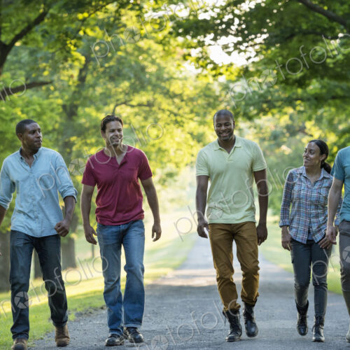 Five people walking down a tree lined avenue in the countryside.