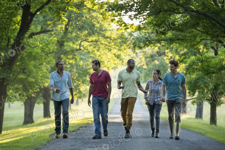 Five people walking down a tree lined avenue in the countryside.