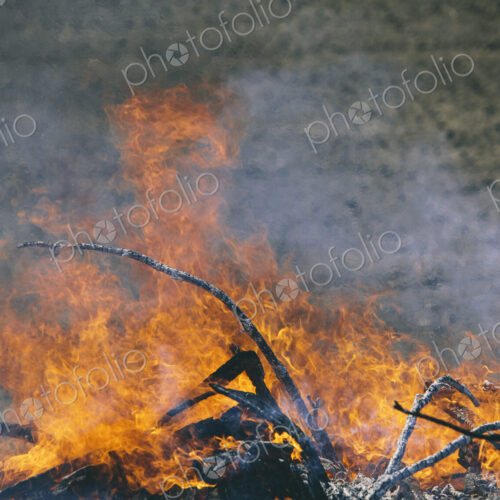 Flames and smoke rising from a heap of wood burning fiercely in a field near Pullman,… Flames and smoke rising from a heap of wood burning fiercely in a field near Pullman,…