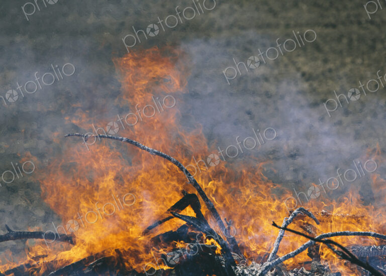 Flames and smoke rising from a heap of wood burning fiercely in a field near Pullman,…