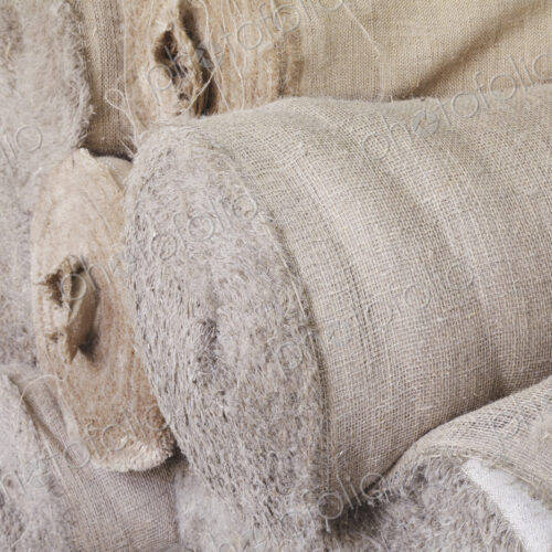 Flax Canvas