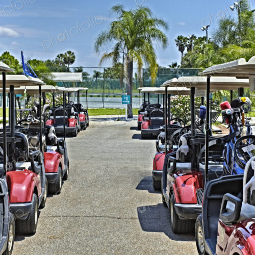 Fleet of Golf Carts