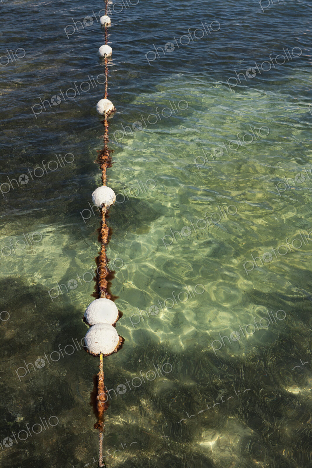 Floats in water marking the swimming area in the sea