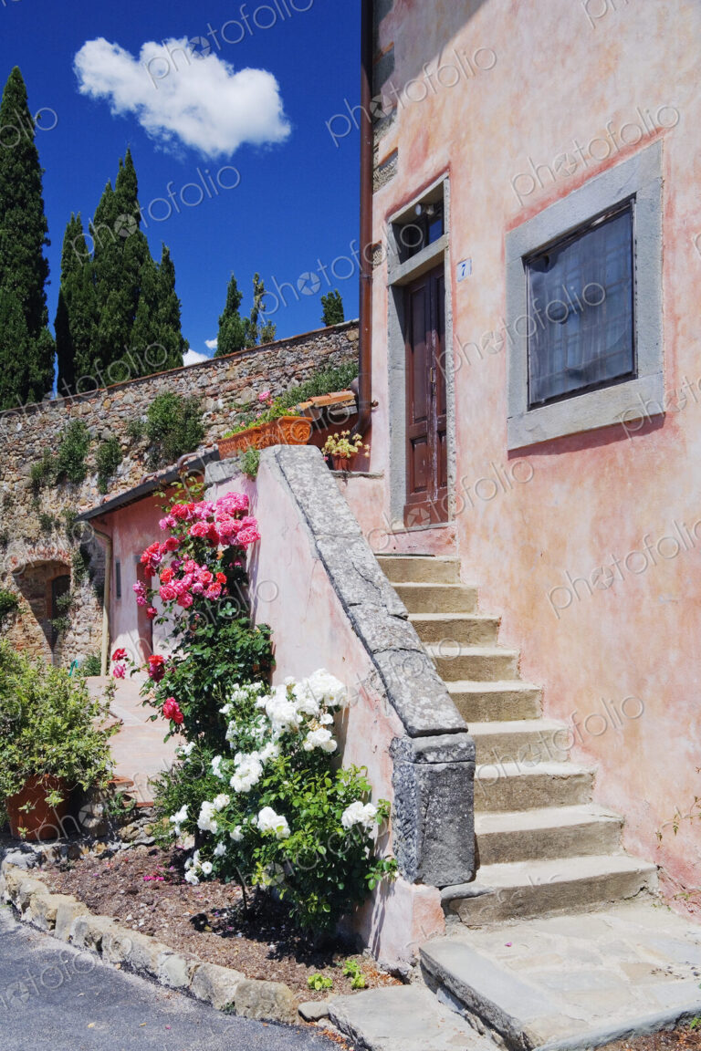 Flowers Growing on Side of House Stairs