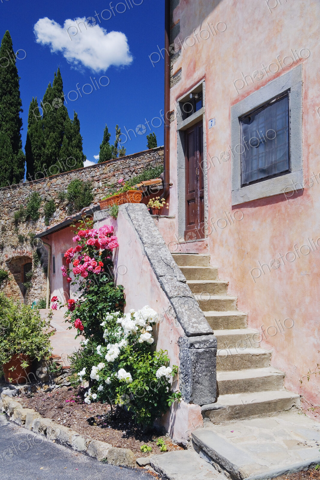 Flowers Growing on Side of House Stairs