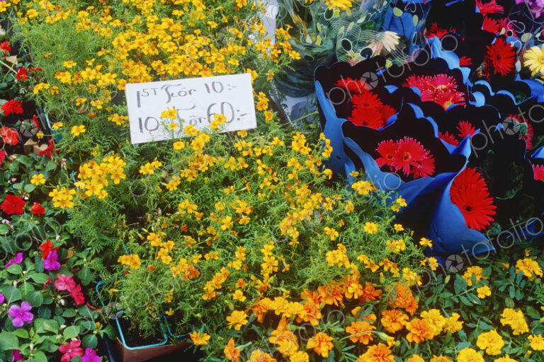 Flowers at a Market Stall