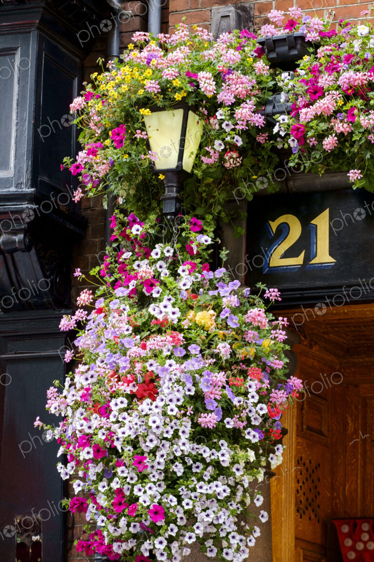 Flowers hanging near number 21 outdoors