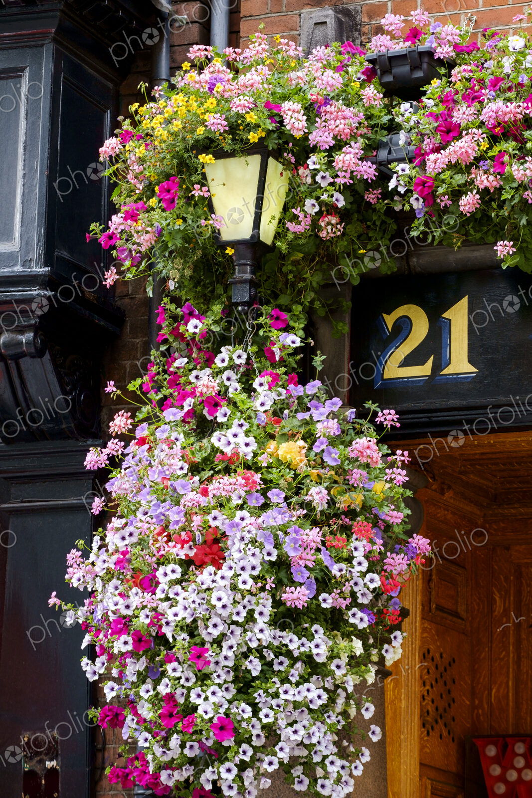 Flowers hanging near number 21 outdoors