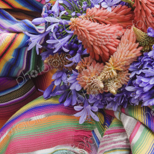 Flowers on a Colorful Tapestry