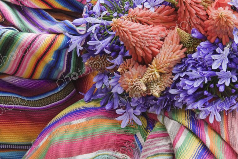 Flowers on a Colorful Tapestry
