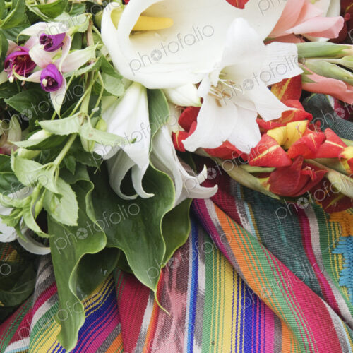 Flowers on a Colorful Tapestry
