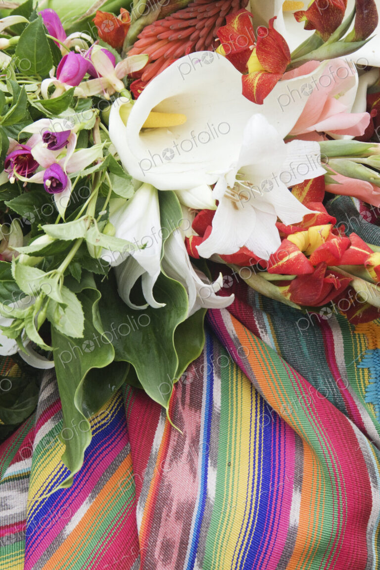 Flowers on a Colorful Tapestry