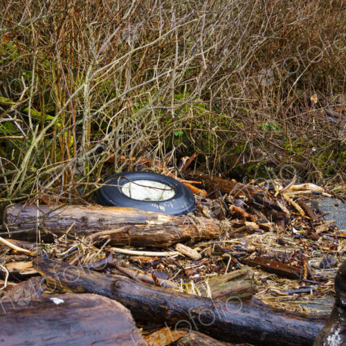 Foam filled rubber tire on beach. Foam filled rubber tire on beach.