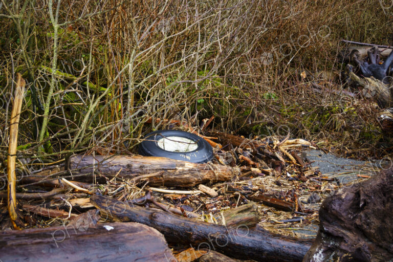 Foam filled rubber tire on beach.