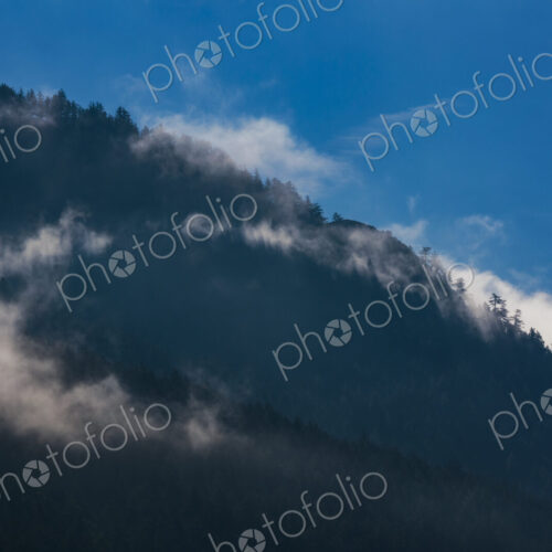 Fog and clouds in the mountains, hillsides of pine trees. Fog and clouds in the mountains, hillsides of pine trees.
