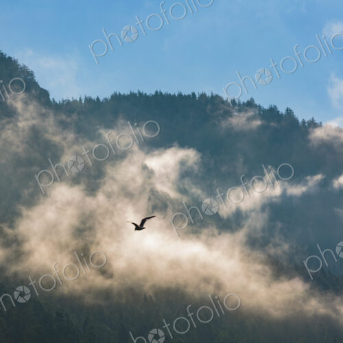 Fog and clouds through mountains, Orcas Island, San Juan Island