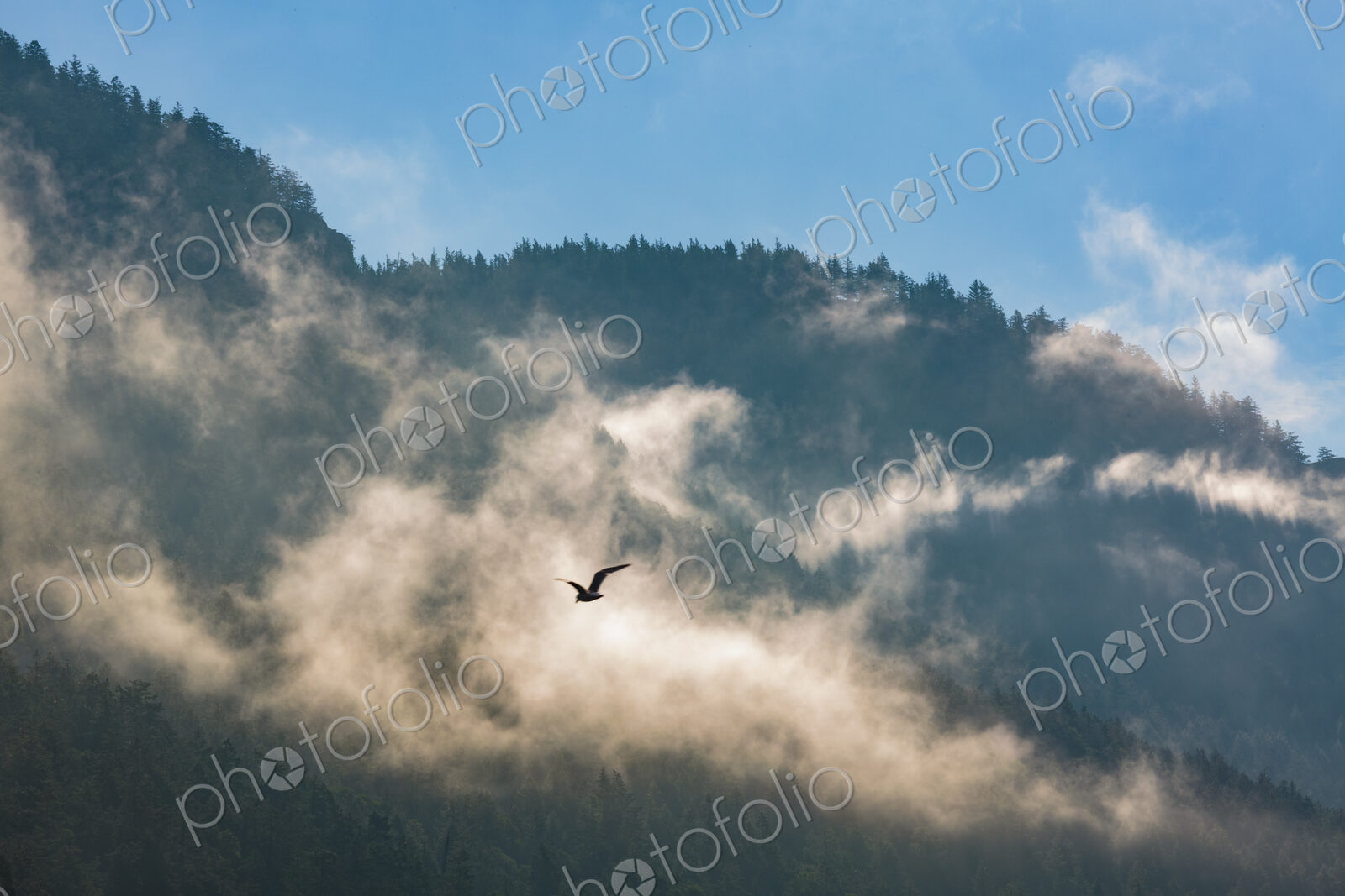 Fog and clouds through mountains, Orcas Island, San Juan Island