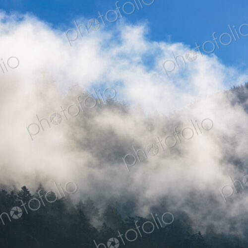 Fog and clouds through mountains, Orcas Island, San Juan Island, WA USA Fog and clouds through mountains, Orcas Island, San Juan Island, WA USA