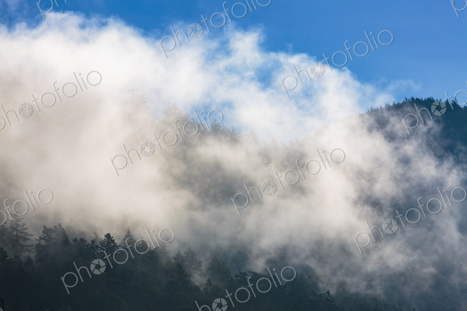 Fog and clouds through mountains, Orcas Island, San Juan Island, WA USA